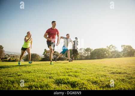 Gruppe junger Erwachsener auf Trainingslauf im Feld Stockfoto