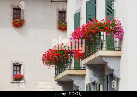 Mittelalterlichen Fenster und roten Blumen in den französischen Alpen. Stockfoto