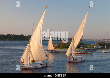 Feluken Segeln auf dem Nil in der Abenddämmerung. Stockfoto