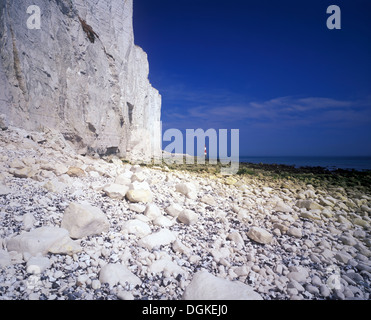 Blick entlang des Strandes unter den sieben Schwestern Klippen in Richtung Beachy Head Leuchtturm, East Sussex, UK Stockfoto