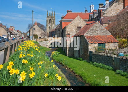 Blick entlang eines Baches im Helmsley. Stockfoto