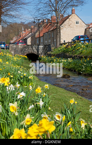 Blick entlang eines Baches im Helmsley. Stockfoto