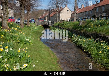 Blick entlang eines Baches im Helmsley. Stockfoto