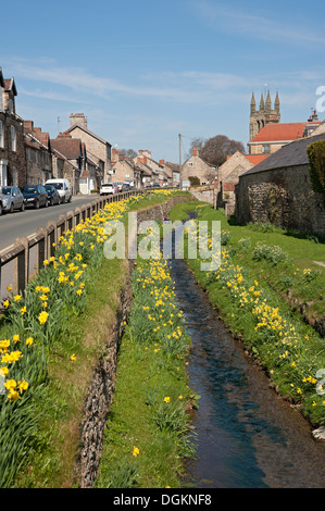 Blick entlang eines Baches im Helmsley. Stockfoto