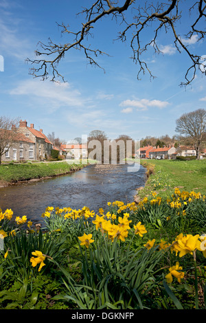 Sinnington Dorf im Frühjahr. Stockfoto