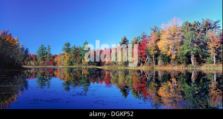 Ein Blick auf Adams Teich in Maine im Herbst. Stockfoto