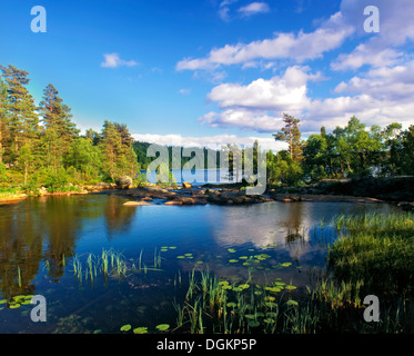 Ein Blick auf einem ruhigen See in Südnorwegen. Stockfoto