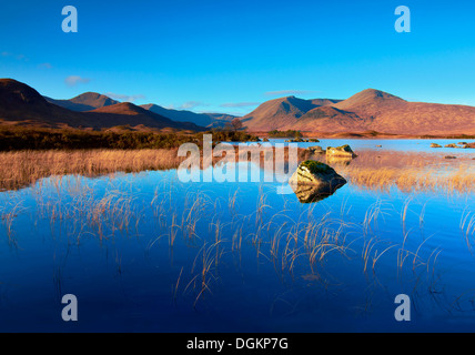 Am frühen Morgen Blick über Loch keine Achlaise. Stockfoto