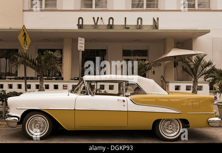 Oldtimer vor dem Avalon Hotel am Ocean Drive in South Beach in Miami. Stockfoto