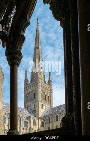 Der Turm der Norwich Kathedrale durch einen der Bögen Kreuzgang gesehen. Stockfoto