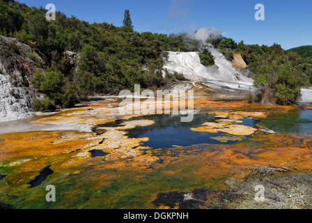 Regenbogen und Kaskade Terrasse, Karte von Afrika, Orakei Korako Höhle und Thermalpark, versteckte Tal, Taupo, Rotorua, Nordinsel Stockfoto