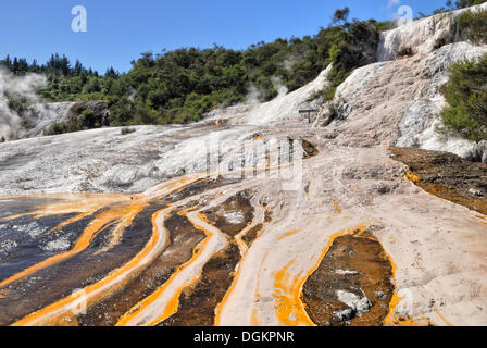 Regenbogen und Kaskade Terrasse, Orakei Korako Höhle und Thermalpark, Taupo-Rotorua, Nordinsel, Neuseeland Stockfoto