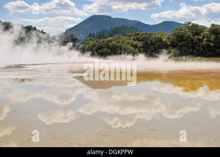 Champagne Pool, Wai-O-Tapu Thermal Wonderland, Rotorua, Nordinsel, Neuseeland Stockfoto