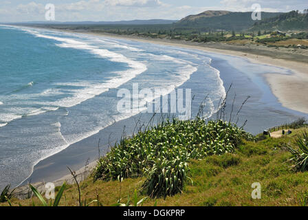 Muriwai Beach, Muriwai Regional Park, westlich von Auckland, Nordinsel, Neuseeland Stockfoto