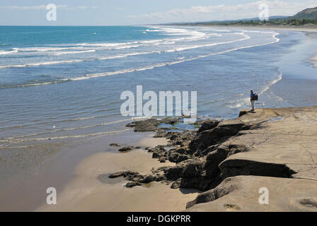 Muriwai Beach, Muriwai Regional Park, westlich von Auckland, Nordinsel, Neuseeland Stockfoto