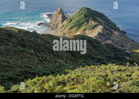 Rocky Point, Cape Reinga, Nordinsel, Neuseeland Stockfoto