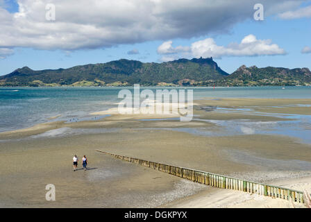 One Tree Point Beach, Whangarei Harbour, Whangarei Heads an der Rückseite, Whangarei, Nordinsel, Neuseeland Stockfoto