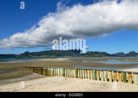 One Tree Point Beach, Whangarei Harbour, Whangarei Heads in Rücken, Whangarei, Nordinsel, Neuseeland Stockfoto