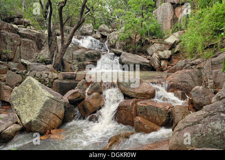 Endeavour fällt, Peterson Creek, Arcadia, Magnetic Island, Queensland, Australien Stockfoto