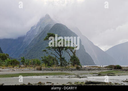 Mitre Peak, Milford Sound, Südinsel, Neuseeland Stockfoto