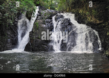 Abendessen fällt Wasserfall, Mittelteil Kaskade, Barron River, Mount-Hypipamee-Nationalpark, Ravenshoe, Highway 1, Queensland Stockfoto