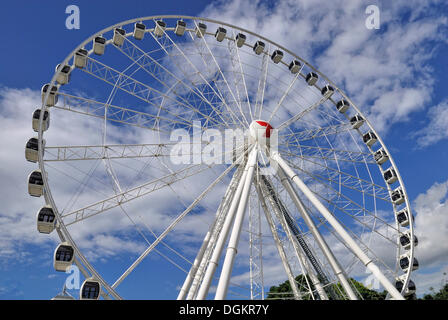 Rad, Riesenrad, South Bank Parklands, Brisbane, Queensland, Australien Stockfoto