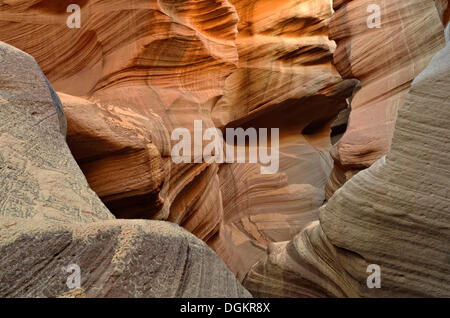 Roter Sandstein, Felsformationen, Upper Antelope Canyon, Page, Arizona, USA Stockfoto