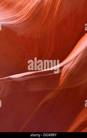 Roter Sandstein, Felsformationen, Upper Antelope Canyon, Page, Arizona, USA Stockfoto