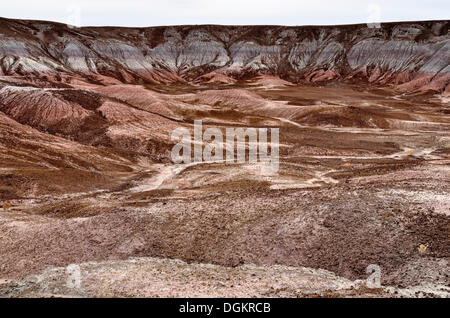 Felsformationen in den Tipis Bereich, Petrified Forest National Park, Painted Desert, Arizona, Vereinigte Staaten Stockfoto