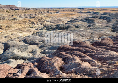 Felsformationen von the Blue Mesa, Petrified Forest National Park, Painted Desert, Arizona, Vereinigte Staaten Stockfoto