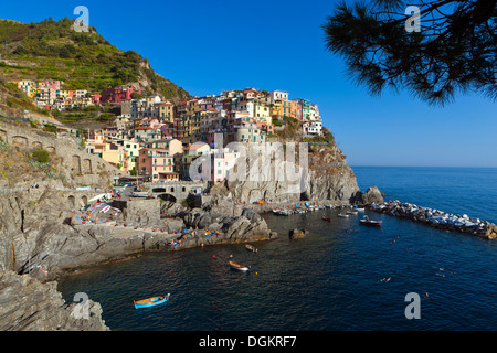 Klippe Dorf Manarola in den Cinque Terre. Stockfoto