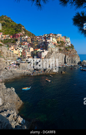 Klippe Dorf Manarola in den Cinque Terre. Stockfoto