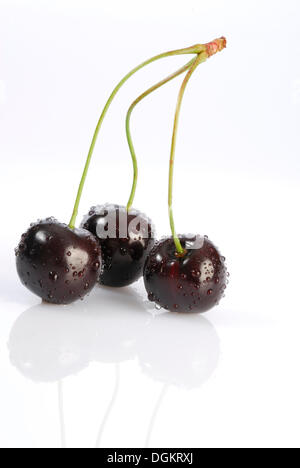 Drei Kirschen, schwarzen Kirschen oder Wildkirsche (Prunus Avium) Stockfoto