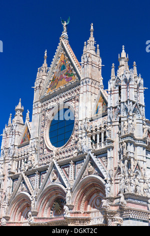 Der Dom von Siena aus dem 12. bis 14. Jahrhundert. Stockfoto