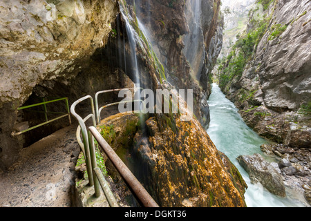 Kümmert sich Schlucht Wanderweg im Nationalpark Picos de Europa. Stockfoto