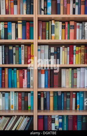 Volle Bücherregale Stockfoto