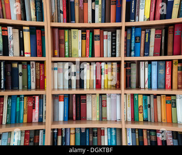Volle Bücherregale Stockfoto