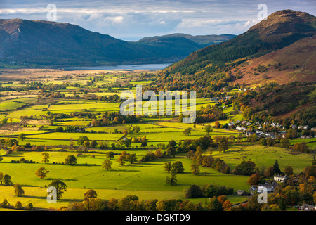 Blick über das Tal von Borrowdale aus Latrigg Gipfel in Richtung Westen. Stockfoto