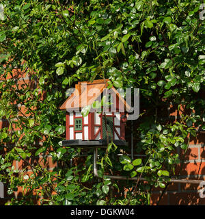 Kleine Vogel-Haus eine rose Spalier, Ditzum, Rheiderland, Niedersachsen, PublicGround Stockfoto