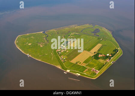 Luftaufnahme, Insel Neuwerk, Neuwerk, Hamburg, Hamburg, Deutschland Stockfoto