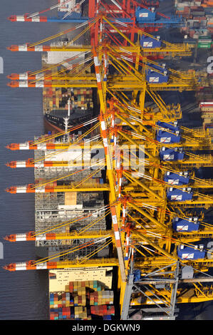 Luftaufnahme, Container-terminal im Hafen von Bremerhaven, Bremerhaven, Bremerhaven, Bremen, Deutschland Stockfoto