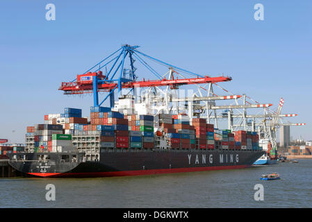 Containerschiff, HHLA Container Terminal Tollerort, CTT, Hamburg-Hafen, Hamburg, Hamburg, Deutschland Stockfoto