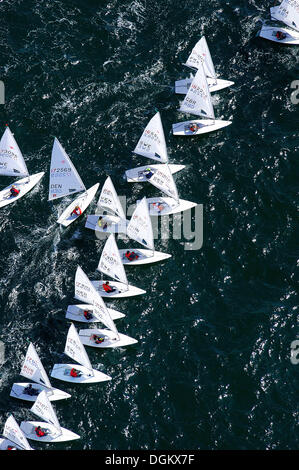 Luftaufnahme, Laser-Segelboote während der Kieler Woche, Start einer Regatta ab Zeile, Kiel, Schleswig-Holstein, Deutschland Stockfoto