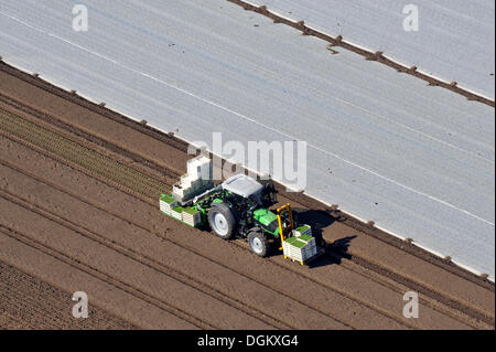 Luftaufnahme, Traktor auf ein Feld, Gemüse Anbau, Trittau, Schleswig-Holstein, Deutschland Stockfoto