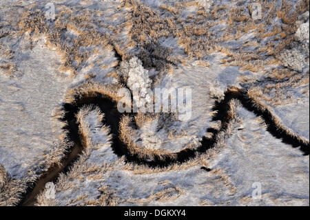 Luftaufnahme, Priel in Süßwasser Watten in Winter, Naturschutzgebiet Heuckenlock, Moorwerder, Hamburg, Hamburg, Deutschland Stockfoto