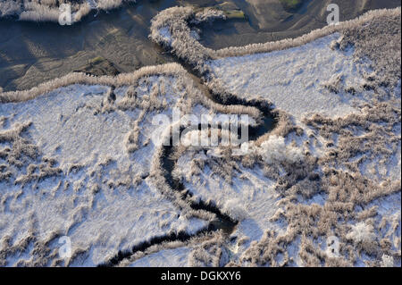 Luftaufnahme, Priel in Süßwasser Watten in Winter, Naturschutzgebiet Heuckenlock, Moorwerder, Hamburg, Hamburg, Deutschland Stockfoto