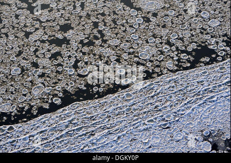 Eisschollen auf dem Fluss Elbe, Geesthacht, Schleswig-Holstein, Deutschland Stockfoto