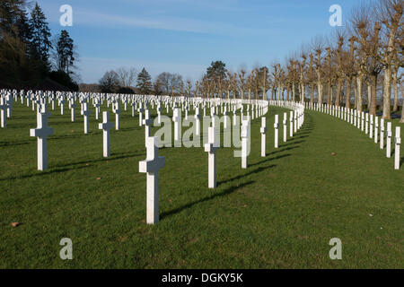 Marmor-Kreuze, Grabsteine, an der Aisne-Marne amerikanischen Friedhof und Denkmal, Erster Weltkrieg, Schlacht im Wald von Belleau Stockfoto