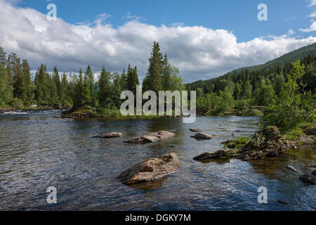 Landschaft mit dem Lachs Fluss Namsen, Namsskogan, Tal Namdalen, Nord-Trøndelag, Trøndelag, Norwegen Stockfoto