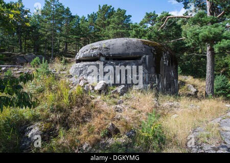 Alte deutsche Bunker aus dem zweiten Weltkrieg, in den Wäldern, Insel Odderøya, Vest-Agder, Süd-Norwegen, Kristiansand, Norwegen Stockfoto